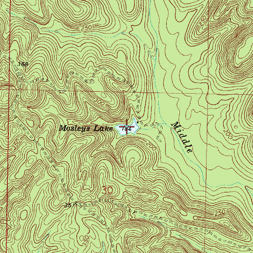 Topographic Map of Mosleys Lake, AL