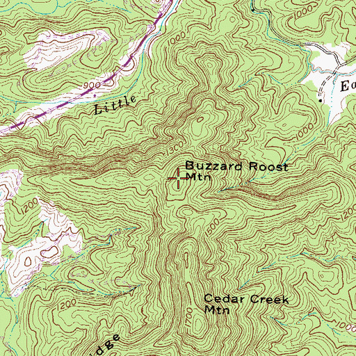Topographic Map of Buzzard Roost Mountain, SC