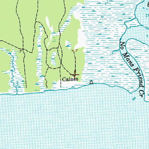 Topographic Map of Caines, SC