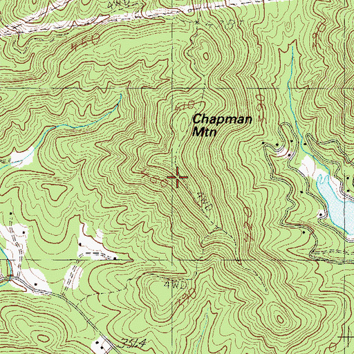 Topographic Map of Chapman Mountain, SC