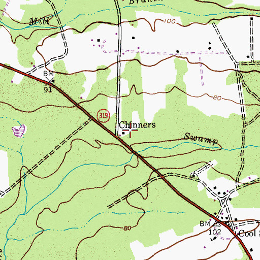 Topographic Map of Chinners, SC