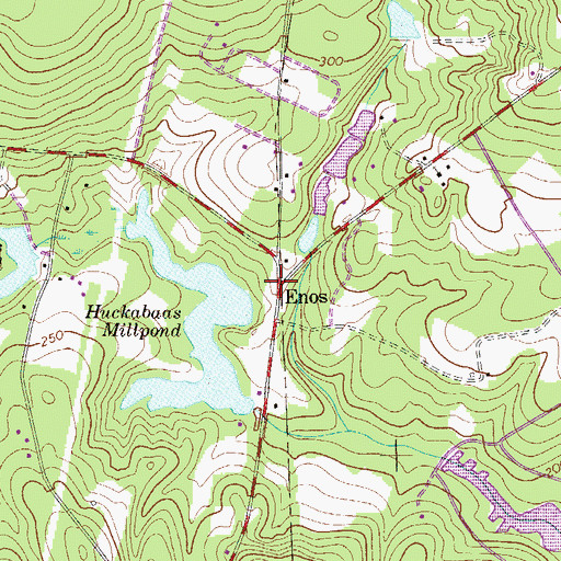 Topographic Map of Enos, SC
