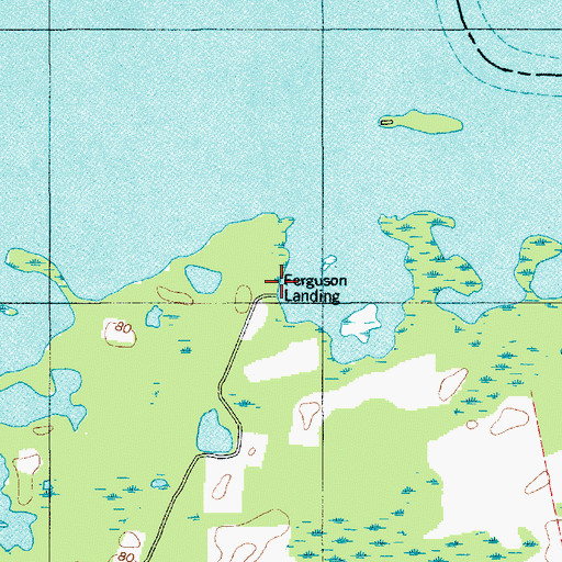 Topographic Map of Ferguson Landing, SC