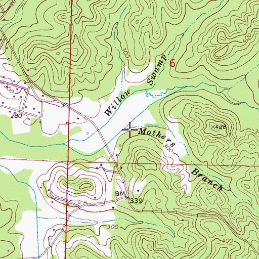 Topographic Map of Mothers Branch, AL