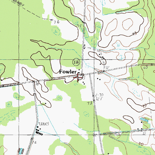 Topographic Map of Fowler, SC