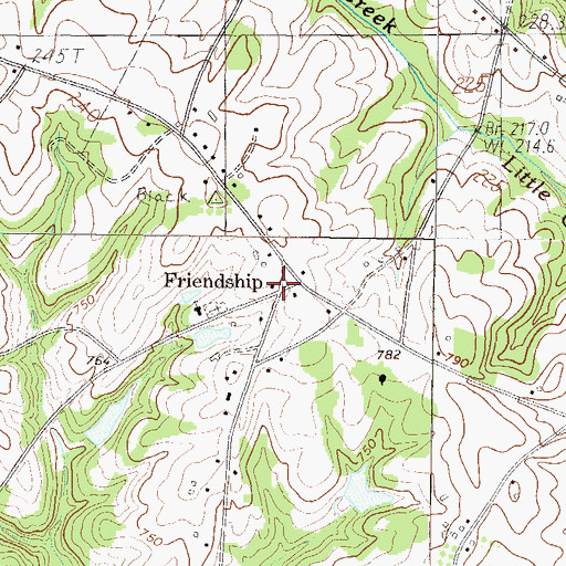 Topographic Map of Friendship, SC