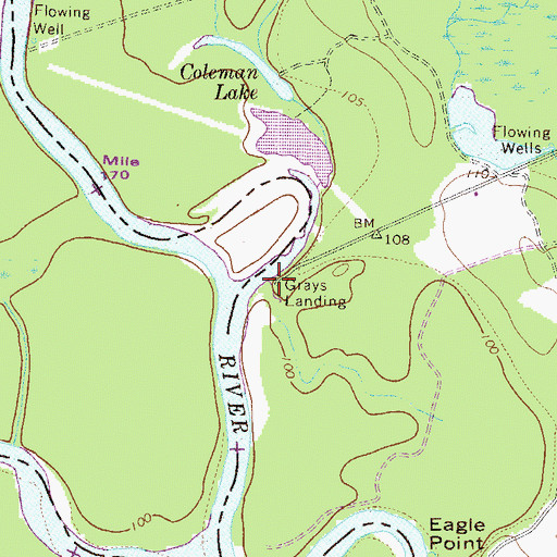 Topographic Map of Grays Landing, SC