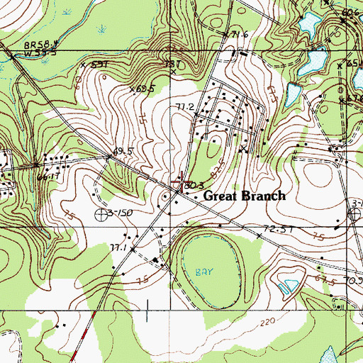 Topographic Map of Great Branch, SC