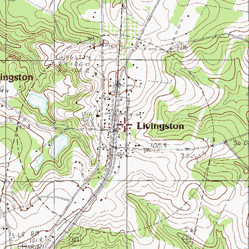 Topographic Map of Livingston, SC