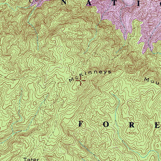 Topographic Map of McKinneys Mountain, SC