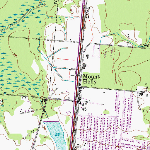 Topographic Map of Mount Holly, SC