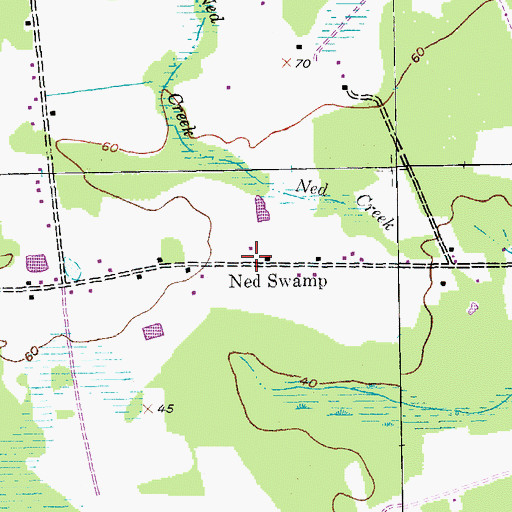 Topographic Map of Ned Swamp, SC