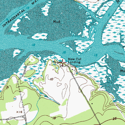 Topographic Map of New Cut Landing, SC