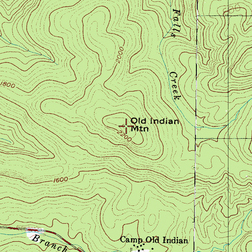 Topographic Map of Old Indian Mountain, SC
