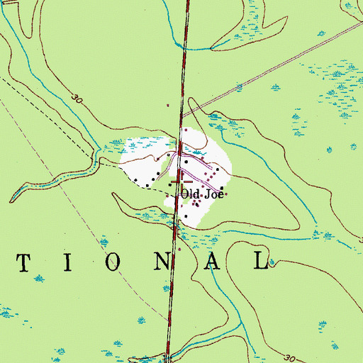 Topographic Map of Old Joe, SC