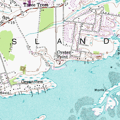 Topographic Map of Oyster Point, SC