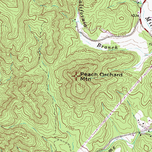 Topographic Map of Peach Orchard Mountain, SC