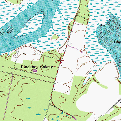 Topographic Map of Pinckney Colony, SC