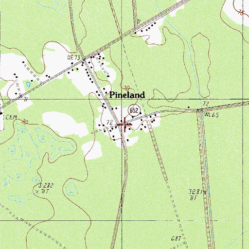 Topographic Map of Pineland, SC