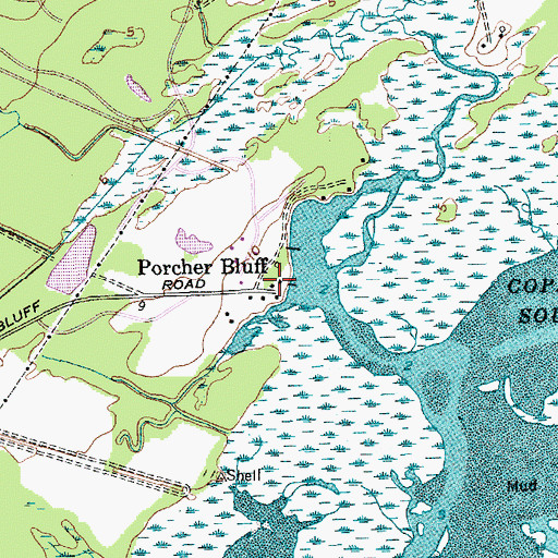 Topographic Map of Porcher Bluff, SC