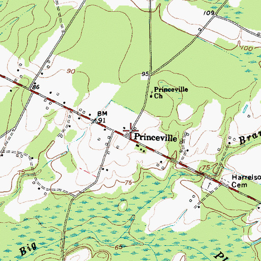 Topographic Map of Princeville, SC