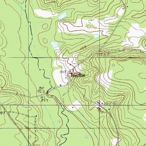 Topographic Map of Rayflin, SC