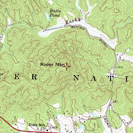 Topographic Map of Rider Mountain, SC