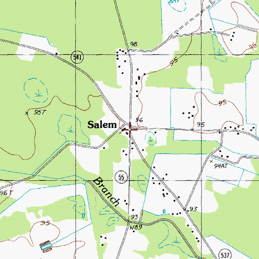 Topographic Map of Salem, SC