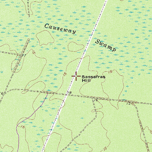 Topographic Map of Sassafras Hill, SC