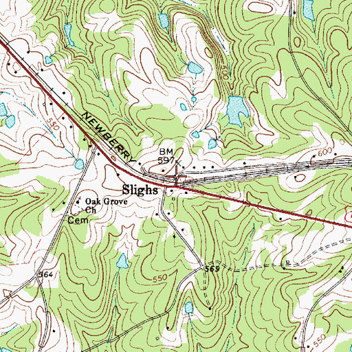 Topographic Map of Slighs, SC