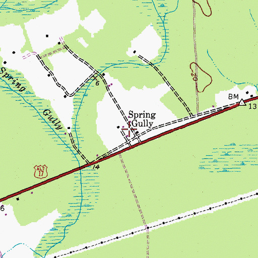 Topographic Map of Spring Gully, SC