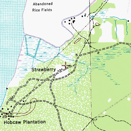 Topographic Map of Strawberry, SC