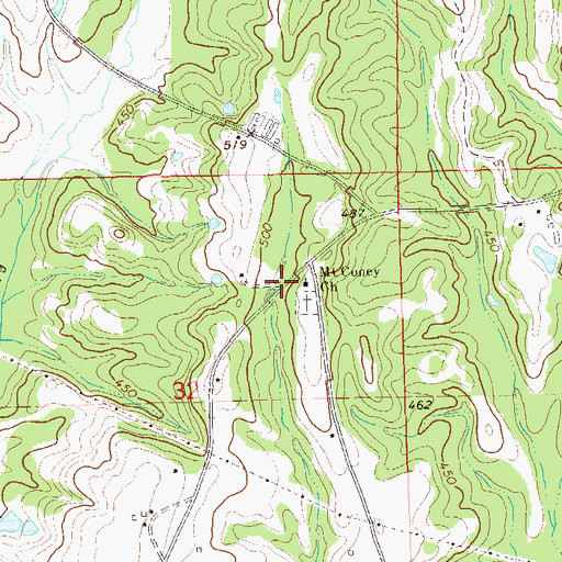 Topographic Map of Mount Coney Church, AL