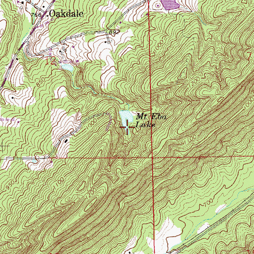 Topographic Map of Mount Eba Lake, AL