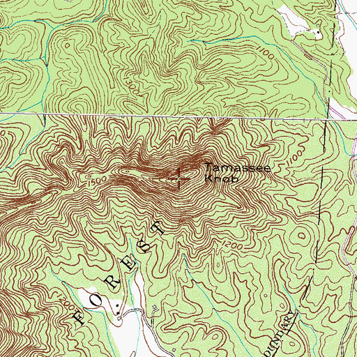 Topographic Map of Tamassee Knob, SC