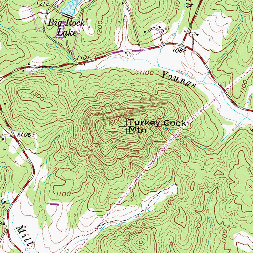 Topographic Map of Turkey Cock Mountain, SC