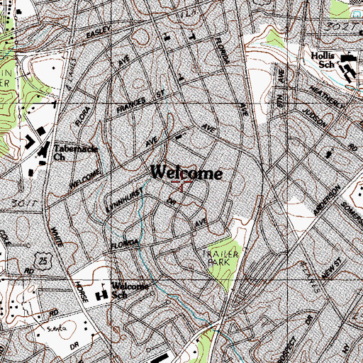 Topographic Map of Welcome, SC