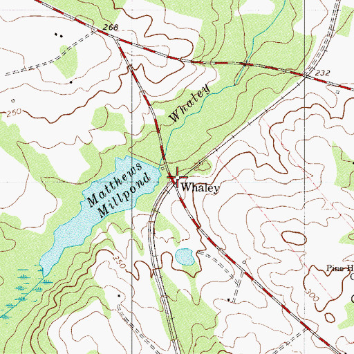 Topographic Map of Whaley, SC