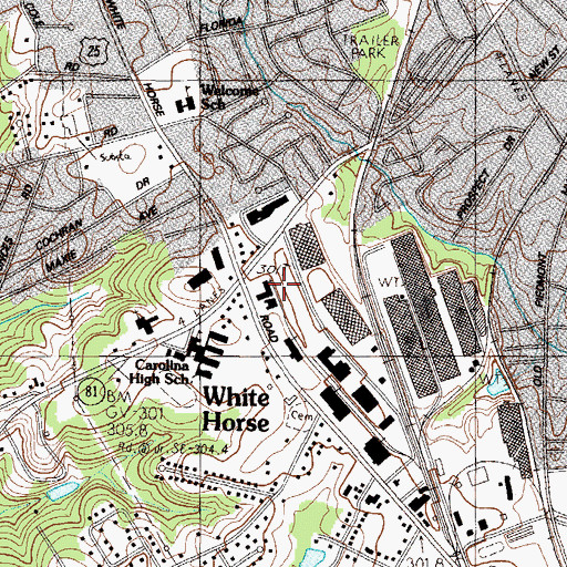 Topographic Map of White Horse, SC