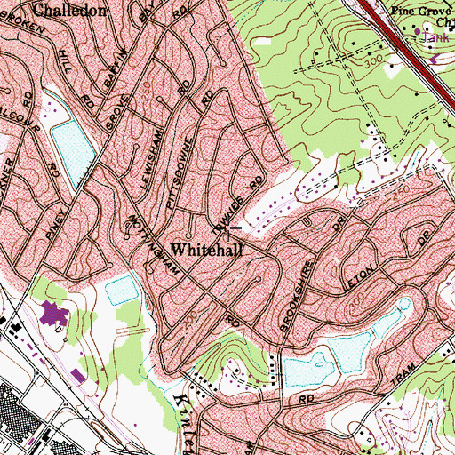 Topographic Map of Whitehall, SC