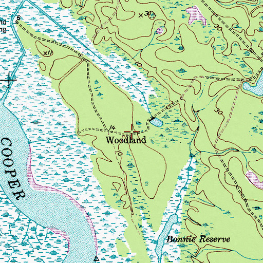 Topographic Map of Woodland, SC