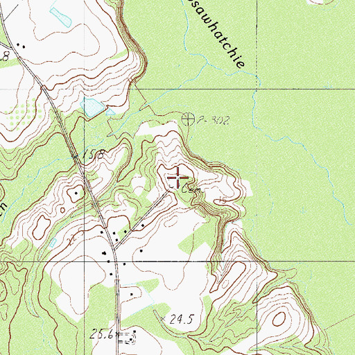 Topographic Map of Thames Cemetery, SC