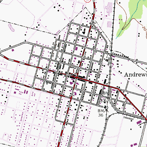 Topographic Map of Andrews Branch Library, SC