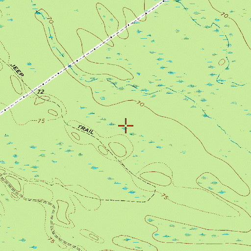 Topographic Map of Goose Marsh, SC