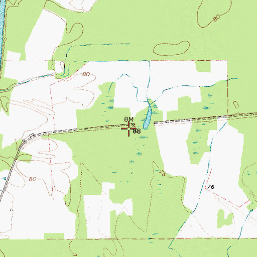 Topographic Map of Welsh Neck (historical), SC