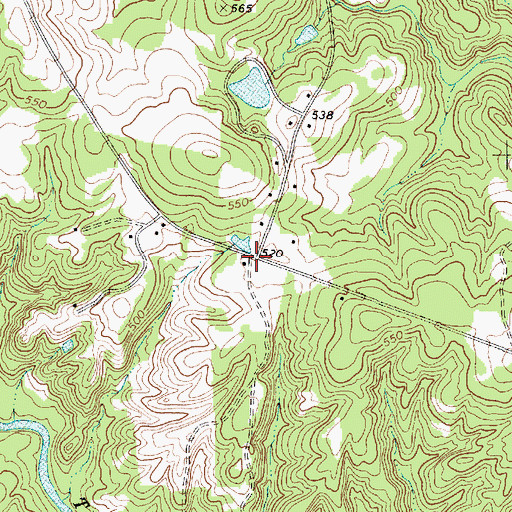 Topographic Map of Bishop Town (historical), SC