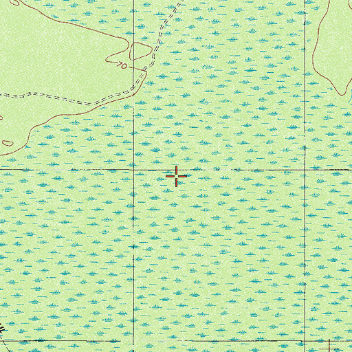 Topographic Map of Spring Run, SC
