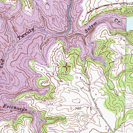 Topographic Map of Pritchard Creek, SC