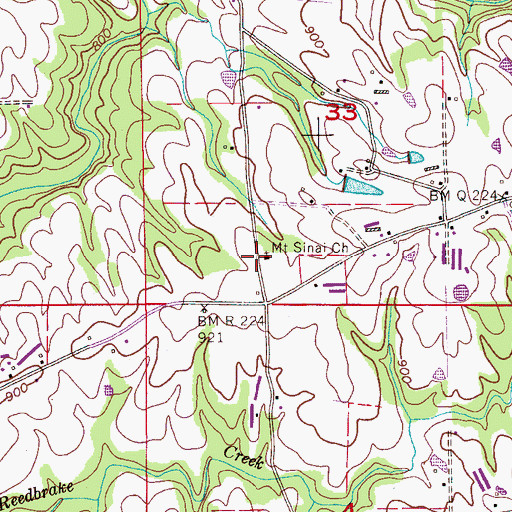 Topographic Map of Mount Sinai Church, AL