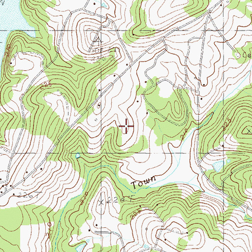 Topographic Map of Ashley Downs, SC